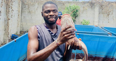 AQUACULTURE : Kenneth Odoemenam: Nigeria’s catfish farming YouTube sensation | CIHEAM Press Review | Scoop.it