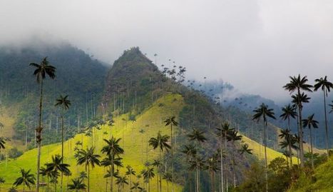 Jungle, désert, plages et volcans : la Colombie, nouvel eldorado de l’écotourisme mondial | Ecotourisme | Scoop.it