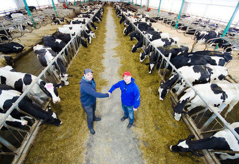 Canada : Des producteurs laitiers profitent « de la manne » | Questions de développement ... | Scoop.it