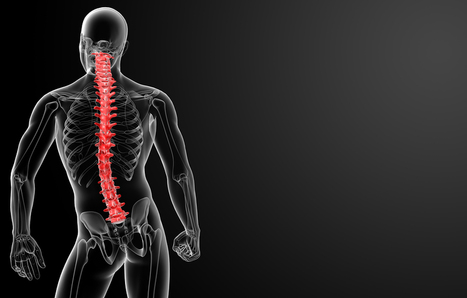Information Regarding Spinal Cord Injuries | Personal Injury Attorney News | Scoop.it