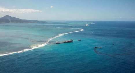 Mauritians Take Wakashio Oil Spill Battle to Island's Supreme Court - gCaptain.com | Agents of Behemoth | Scoop.it