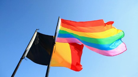 Belgique : le parlement facilite l'adoption pour les couples homosexuels | sida | Scoop.it