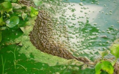 Uruguay / Monitoreo de OSE revela estado de deterioro en cursos de agua | MOVUS | Scoop.it