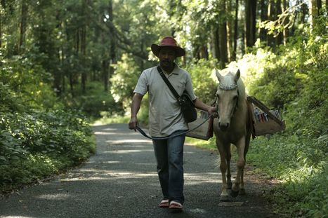 Indon&eacute;sie : il fait route avec un cheval-biblioth&egrave;que pour faire lire les enfants | Cheval et Nature | Scoop.it