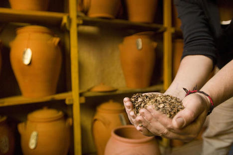 3 Ways Seeds Can Democratize Our Food System | Peer2Politics | Scoop.it