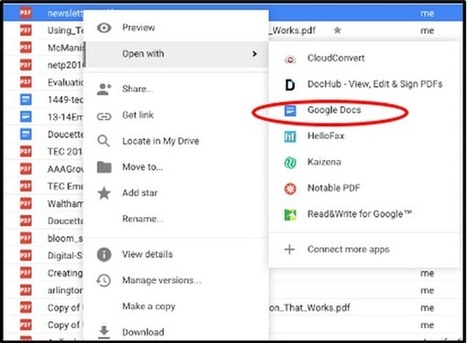 Convert PDFs to Google Docs to Differentiate Instructional Materials | iGeneration - 21st Century Education (Pedagogy & Digital Innovation) | Scoop.it