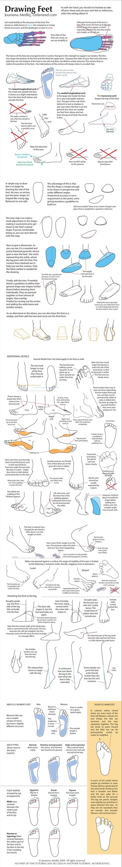 Analytical Figure Drawing Reference Guide