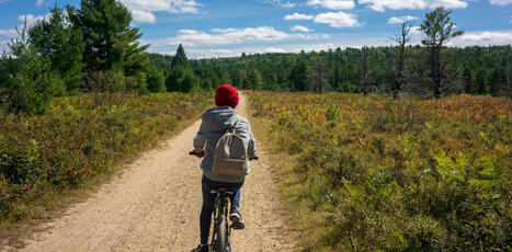 Comment d&eacute;velopper le v&eacute;lo &agrave; la campagne ? - RCF | D&eacute;veloppement &eacute;conomique en milieu rural | Scoop.it