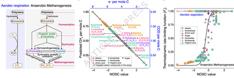 Organic carbon oxidation state shapes fermentative methanogenic microbiomes and controls greenhouse gas fluxes | Ncm | RMH | Scoop.it