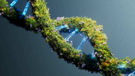L'ADN environnemental : un nouvel outil pour tracer la biodiversité ? | Biodiversité - @ZEHUB on Twitter | Scoop.it
