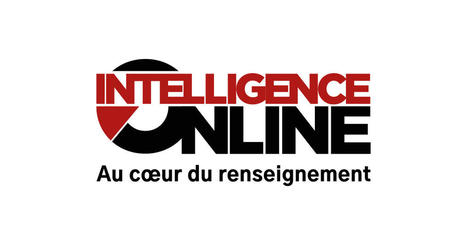 FRANCE : Le gratin de l'intelligence économique française défile au Sénat | Veille et Intelligence Economique | Scoop.it