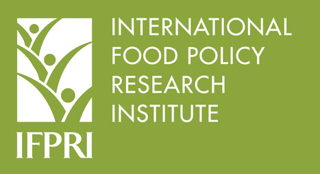 Nutrition and economic development: Exploring Egypt's exceptionalism and the role of food subsidies | STRATEGIES | Scoop.it