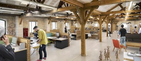 A Bordeaux, les Darwiniens cultivent les entreprises | Start-ups | Success stories | Scoop.it