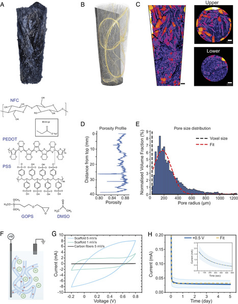 [article] eSoil: A low-power bioelectronic growth scaffold that enhances crop seedling growth | SCIENCES DU VEGETAL | Scoop.it