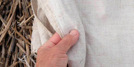 'Put us out of business!' Outrage as GOP shutdown provision threatens to end farms - Raw Story | Backstabber Watch | Scoop.it