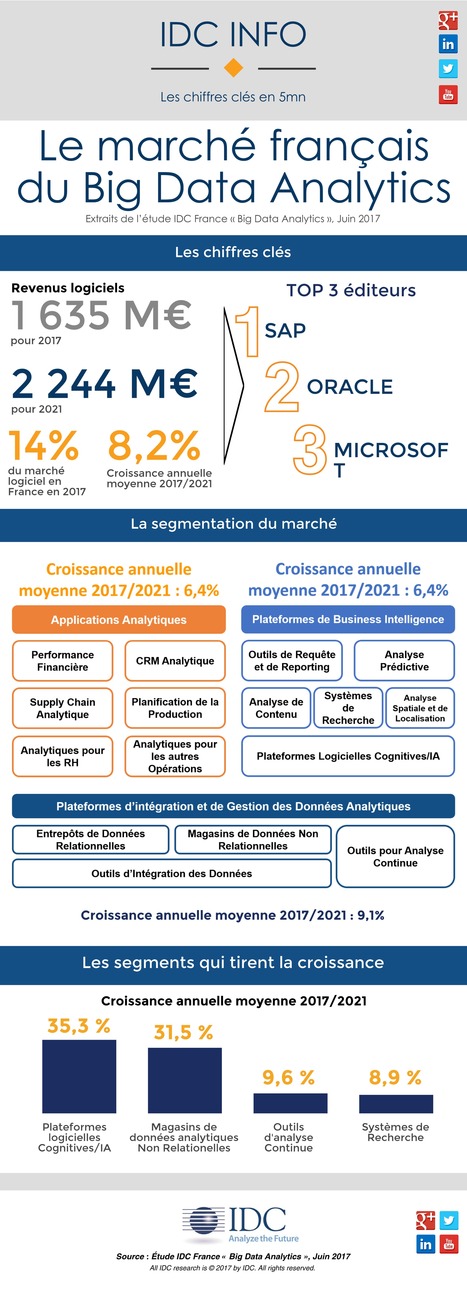 Le marché français du big data en une infographie selon IDC | Digital Marketing | Scoop.it