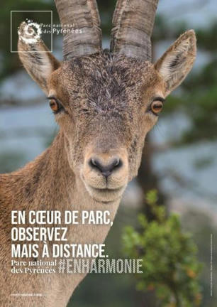 Les yeux dans les yeux ! ou les bons usages en montagne - Parc national des Pyrénées | Biodiversité | Scoop.it