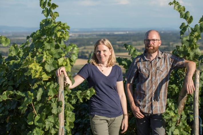 Une troisième appellation grand cru pour le pinot noir alsacien, “on y travaille depuis des décennies” | Thématique Gastronomie et Oeno | Scoop.it