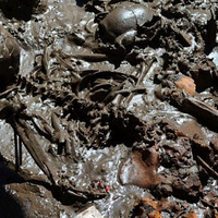 Incredible discovery of Aztec skeletons in ritualistic mass grave | Science News | Scoop.it