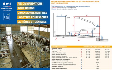 Recommandations pour un bon dimensionnement des logettes pour vaches laitières et génisses | Lait de Normandie... et d'ailleurs | Scoop.it