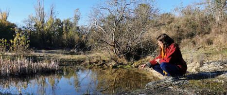 Amphibiens, orchidées, mares : une ancienne carrière de calcaire primée pour sa gestion exemplaire de la biodiversité | Professionnels du tourisme du Grand Auch Cœur de Gascogne | Scoop.it