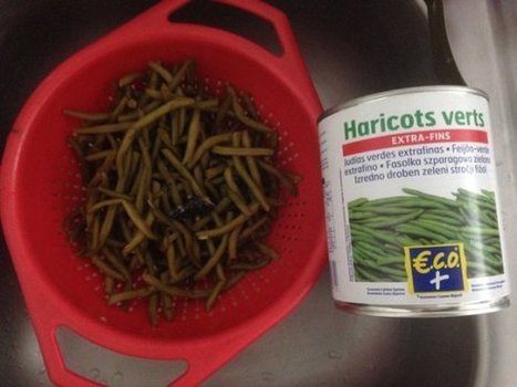 Clermont-Ferrand : elle ouvre une bo&icirc;te de haricots verts, elle d&eacute;couvre une grenouille &ndash; - France 3 Auvergne | Gestion des risques alimentaires | Scoop.it