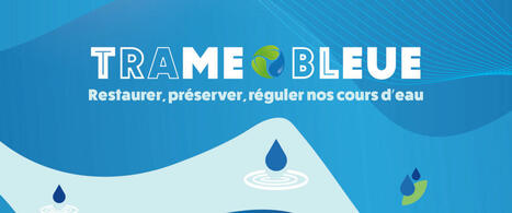 Appel à projets - "Vert l'Avenir" - Crédit Mutuel | Plate-forme de veille sur les appels à projets | Scoop.it