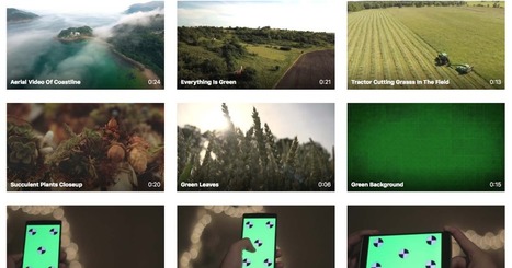 Try Pexels Videos to Find Green Screen Backgrounds via @rmbyrne | Moodle and Web 2.0 | Scoop.it