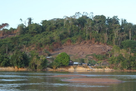 En Guyane, l'opposition se lève contre un projet de mine destructeur de la forêt | GREENEYES | Scoop.it