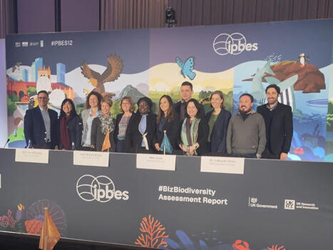 Entreprises et biodiversit&eacute; : contribue &agrave; un rapport mondial | For&ecirc;t, Bois, Milieux naturels : Interactions Enseignement sup&eacute;rieur - Organisations - Recherche | Scoop.it