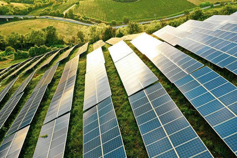 More Companies Report Meeting Their Sustainability Commitments | EcoVadis in the Press - Articles and bylines | Scoop.it
