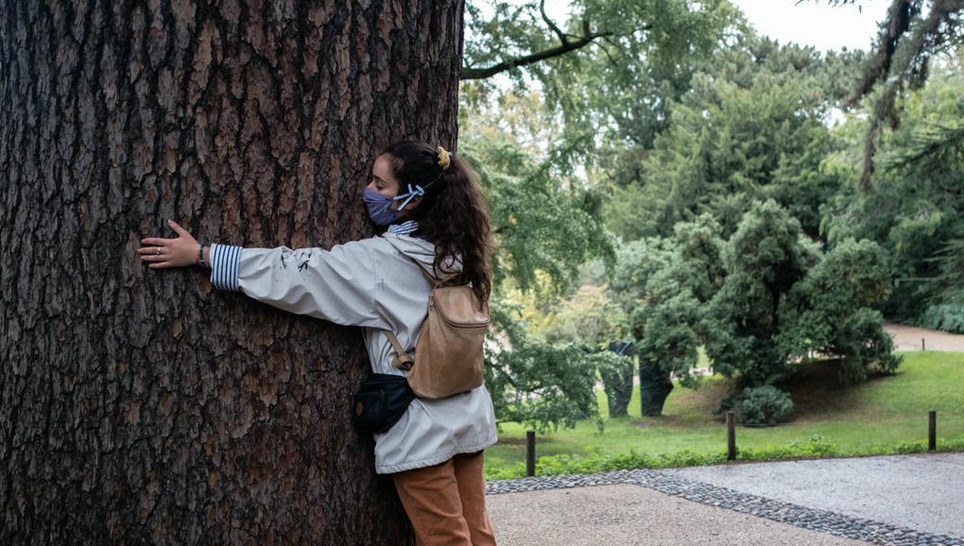 La France des arbres | Veille territoriale AURH | Scoop.it