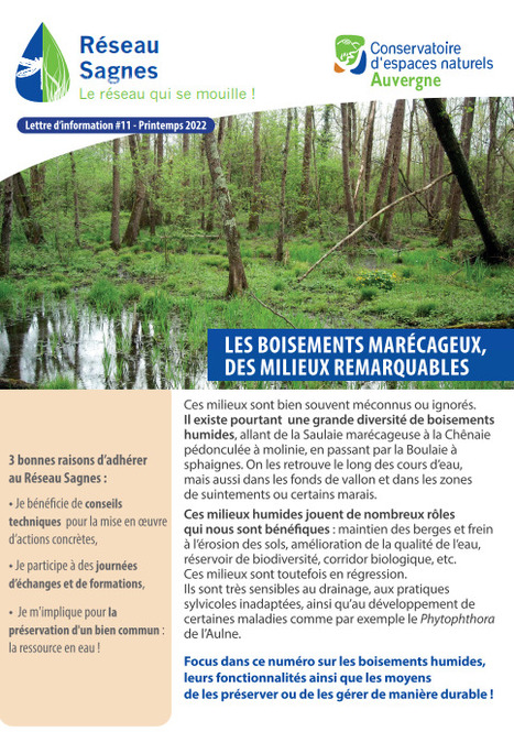 Lettre d'informations " Réseau Sagnes " - Conservatoire d'espaces naturels d'Auvergne | Biodiversité | Scoop.it
