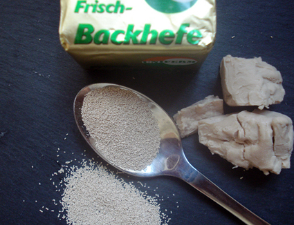 Umrechnungstabelle Trockenhefe zu frische Hefe | EatingCulture | Hobby, LifeStyle and much more... (multilingual: EN, FR, DE) | Scoop.it