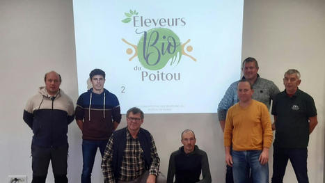 Parthenay: la coopérative Éleveurs bio du Poitou est née | Actualité Bétail | Scoop.it