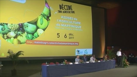 Une meilleure politique pour le foncier agricole (Martinique) | Revue Politique Guadeloupe | Scoop.it