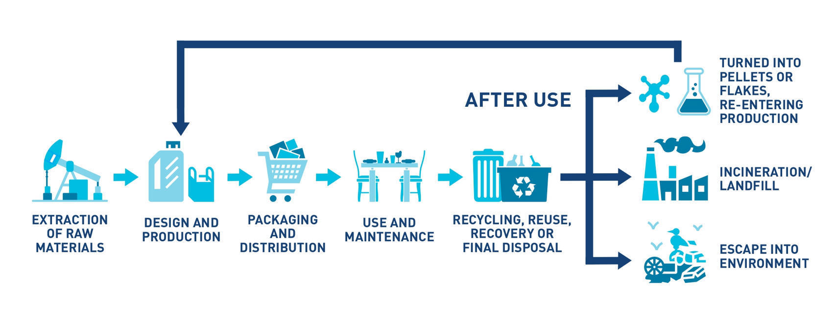The plastic pollution crisis - Story | Soggy Sc...