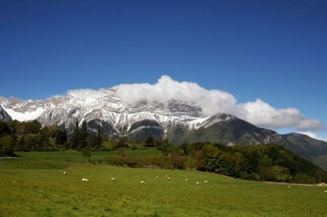 Dans les Hautes-Alpes, «on ne veut pas tuer le loup, on veut juste pouvoir se défendre» - Libération | Loup | Scoop.it