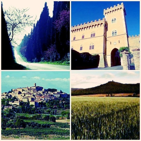 Bolgheri e Castagneto Carducci: cipressi, natura, e vino Super Tuscans. | Good Things From Italy - Le Cose Buone d'Italia | Scoop.it