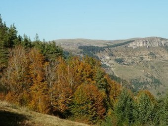 Découvrez les sentiers de randonnées au sein de la Lozère avec Geotrek | Biodiversité | Scoop.it