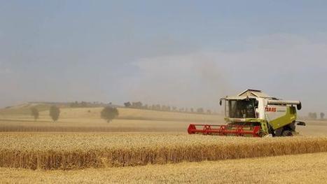 Etats-Unis: vers une réforme des subventions agricoles | Questions de développement ... | Scoop.it