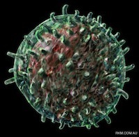 Is this the reason why RV144 HIV &lsquo;Thai trial&rsquo; didn&rsquo;t protect more participants? | Virology News | Scoop.it