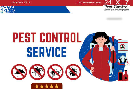 Protecting Your Home During Festivals: The Need for Pest Control in Lucknow | Pest Control Services | Scoop.it