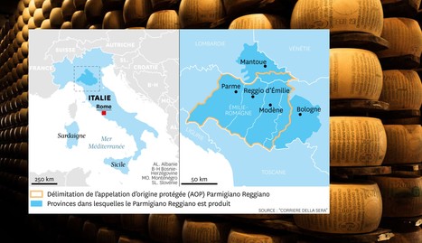 En Italie, les producteurs de lait oubliés de la hausse des ventes de parmesan | Lait de Normandie... et d'ailleurs | Scoop.it
