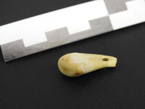 Traces from the past: scientists recover intact ancient human DNA from a 20,000 year-old pendant | Amazing Science | Scoop.it