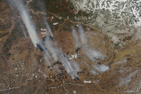 Wildfires and Smoke in Siberia - EarthObservatory.NASA.gov | Agents of Behemoth | Scoop.it
