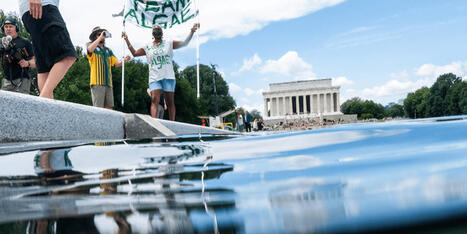 CNN reporter surprises himself with development in Trump's algae-filled Reflecting Pool - Raw Story | Operation Deimos | Scoop.it