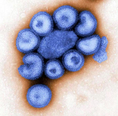 Experts warn of simultaneous COVID and flu outbreak in Japan | Virology News | Scoop.it