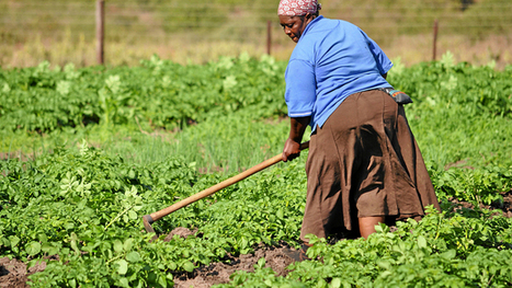 No clear owners of huge tracts of SA land | Geography resources for teachers | Scoop.it