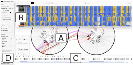 Phylo-Movies: Animating Phylogenetic Trees from Sliding-Window Analyses | brvbi | RMH | Scoop.it